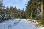 27.02.2016: Vogtland - auf dem Kammweg Erzgebirge - Vogtland