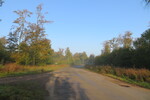 03.10.2014: Harz - auf der Zufahrt zur Rosstrappe