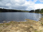 16.04.2017: Harz - Oderteich