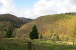 30.10.2017: Harz - Blick vom Weg zwischen Wendeleiche und Stiefmutter ins Eisbachtal bei Zorge