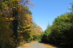 14.10.2018: Vogtland - Goldener Herbst nahe der Osterburg in Weida