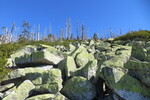 20.04.2019: Bayerischer Wald - Steinernes Meer zwischen Dreisessel und Dreilndereck