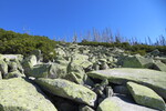 20.04.2019: Bayerischer Wald - Steinernes Meer zwischen Dreisessel und Dreilndereck