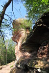 16.08.2020: Pflzerwald - Zigeunerfelsen bei Wengelsbach (FR)
