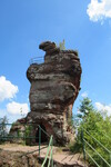 16.08.2020: Pflzerwald - Backenzahn an der Burgruine Drachenfels, Westseite
