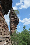 16.08.2020: Pflzerwald - Lmmerfelsen bei Dahn