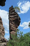 16.08.2020: Pflzerwald - Lmmerfelsen bei Dahn