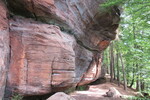 17.08.2020: Pflzerwald - Saufelsen bei Rodalben