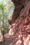 18.08.2020: Pflzerwald - Altschlossfelsen bei Eppenbrunn