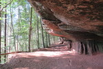 18.08.2020: Pflzerwald - Altschlossfelsen bei Eppenbrunn