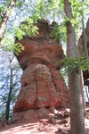 18.08.2020: Pflzerwald - Altschlossfelsen bei Eppenbrunn