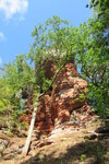 18.08.2020: Pflzerwald - Altschlossfelsen bei Eppenbrunn