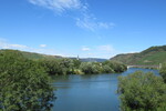 20.08.2020: Mosel - Mosel bei Trittenheim