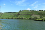 22.08.2020: Mosel - Blick ber die Mosel zur Marienburg bei Zell