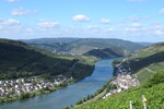 22.08.2020: Mosel - Blick vom Moselsteig zwischen Collisturm und Loenshtte