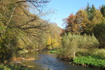 30.10.2021: Vogtland - Weie Elster unterhalb des Lochbauern