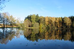 31.10.2021: Vogtland - Mhlteich bei Hauptmannsgrn