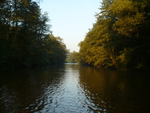 19.09.2009: Sachsen (Sonstiges) - Zwickauer Mulde bei Grnau