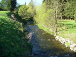 10.05.2008: Erzgebirge - Zwnitz im Kemtauer Wald