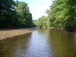 19.07.2008: Sachsen (Sonstiges) - Zwickauer Mulde oberhalb der WKA Wiesenburg