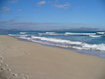 30.12.2008: Mallorca - Strand bei Can Picafort