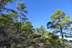 26.12.2018: Gran Canaria - Am Aufstieg zum Altavista
