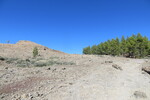 28.12.2018: Gran Canaria - Gerllhalde und Kiefernwald am Weg von Cruz Grande zum Ventana del Nublo