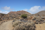 27.02.2012: Teneriffa - bei El Portillo
