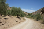 15.08.2012: Katalonien - im Tal Vall San Francisco