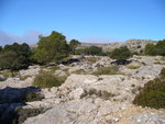 25.12.2008: Mallorca - in den Bergen oberhalb von Valdemossa