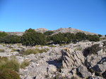 25.12.2008: Mallorca - in den Bergen oberhalb von Valdemossa