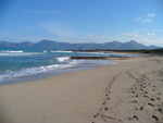 30.12.2008: Mallorca - Strand bei Can Picafort