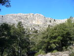 31.12.2008: Mallorca - in den Bergen oberhalb des Stausees Cúber