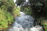 16.08.2023: See Genezareth und Golanhhen - Fluss Dan im Tel Dan Nature Reserve