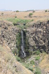 16.08.2023: See Genezareth und Golanhhen - Gamla-Wasserfall