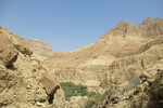18.08.2023: Totes Meer und Umgebung - Wadi Arugot in der Oase En Gedi