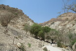 18.08.2023: Totes Meer und Umgebung - Wadi David in der Oase En Gedi