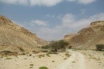 20.08.2023: Negev-Wste - Wadi Barak