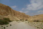 20.08.2023: Negev-Wste - Wadi Barak