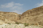 20.08.2023: Negev-Wste - Wadi Barak