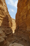20.08.2023: Negev-Wste - Canyon des Wadi Barak