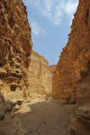 20.08.2023: Negev-Wste - Ausgang des Canyon des Wadi Barak