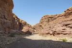 22.08.2023: Negev-Wste - Wadi Shani