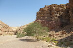 22.08.2023: Negev-Wste - Wadi Shani