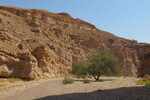 22.08.2023: Negev-Wste - Wadi Shani