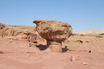 23.08.2023: Negev-Wste - Pilzfelsen im Timnapark
