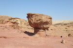 23.08.2023: Negev-Wste - Pilzfelsen im Timnapark