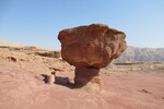 23.08.2023: Negev-Wste - Pilzfelsen im Timnapark