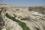 23.08.2023: Negev-Wste - Blick in den En-Advat-Canyon