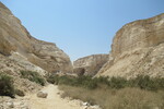 23.08.2023: Negev-Wste - En-Advat-Canyon